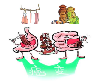食管癌的早期預(yù)防