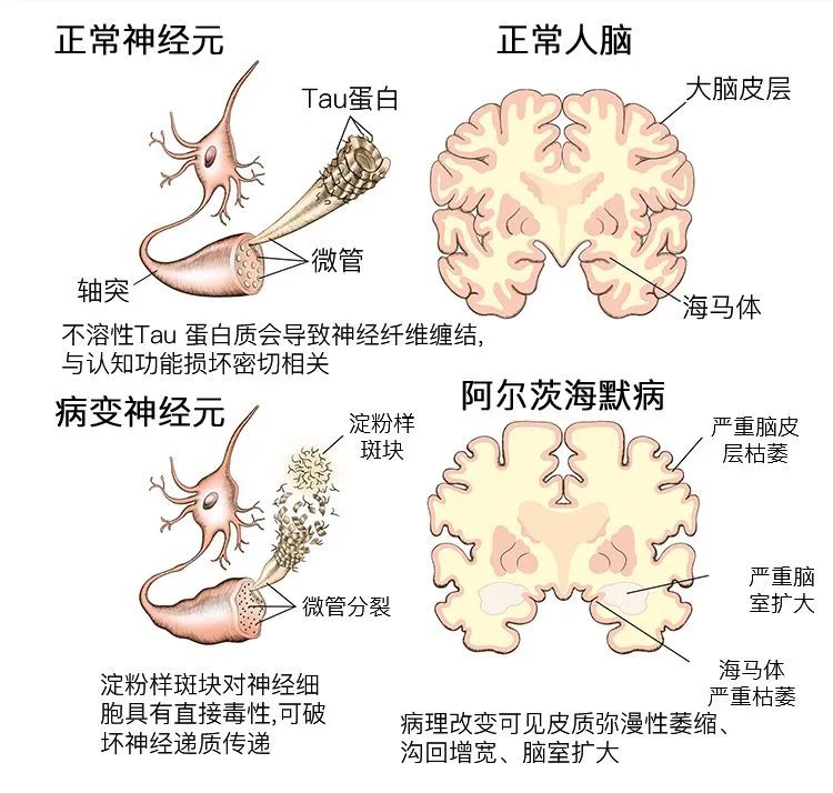 微信圖片_20220707151141.jpg