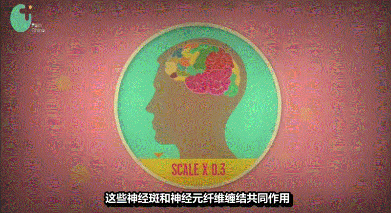 世界太美好，我不舍得你忘掉