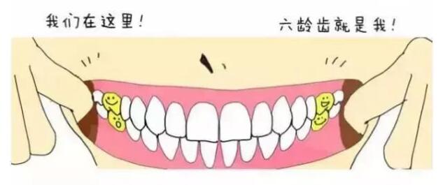 乳牙不用管，反正要換掉？錯了！