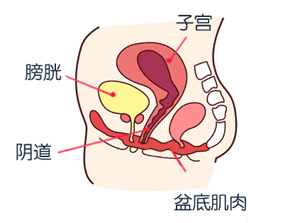 女性最應(yīng)該鍛煉的是被忽視的這個肌