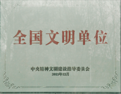 11.png