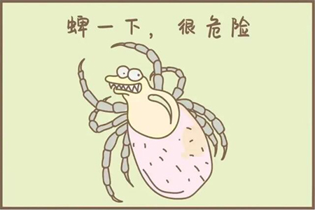 QQ截圖20250208110348.jpg