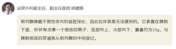 QQ截圖20250208111225.jpg