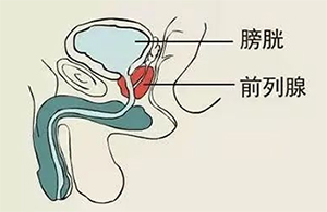 640-(1).jpg